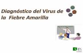Diagnóstico del Virus de la Fiebre Amarilla - files.sld.cufiles.sld.cu/vigilancia/files/2017/03/Presentacion-Laboratorio... · Detección del ARN Viral por la Reacción en Cadena