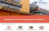 Opciones de Certificación - cadperu.comcadperu.com/sites/default/files/gestion_del_presupuesto_publico.pdf · • Sub Gerente de presupuesto de la Gerencia de Planificación y presupuesto