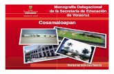 Monografia Cosamaloapan 2005.ppt [Modo de …delegaciones.sev.gob.mx/difusion/monografias/Monografia... · XI. Proponer a la Coordinación de Delegaciones Regionales proyectos de