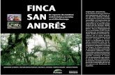 FINCA SAN ANDRÉS - ProYungasproyungas.org.ar/wp-content/uploads/2015/07/finca-san-andres.pdf · Conclusiones Mapas y Fotografías ... vivencias de lo que sucede adentro de las Comunidades,