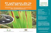 El salivazo de la SERIE caña de azúcar - cenicana.org · Ministerio de Agricultura y Desarrollo Rural . República de Colombia. ... alrededor de las cepas de la caña, ... la muerte.