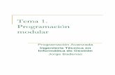 Tema 1. Programación modular - uji.esbadenas/IG17-2010-11/archivos/Tema1/Tema_1.pdf · Introducir algunos elementos de C++ que no están directamente relacionados con la programación
