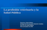LA PROFESION VETERINARIA El veterinario en la ... · Definición de Salud Pública “La ciencia y el arte de prevenir las dolencias y las discapacidades, prolongar la vida y fomentar