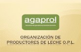 ORGANIZACIÓN DE PRODUCTORES DE LECHE O.P.L. · FUNCIONES Negociación ... (Asociación) Cercanía y proximidad para la gestión ... distribución y otros