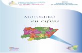 en cifras - Instituto Nacional de Información de ... · El capítulo dos presenta el Mapa de Pobreza Extrema Municipal elaborado a partir de ... Mulukukú en Cifras ... Es el cociente