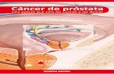 Cáncer de próstata - Laboratorio Clínico Hematológicolch.co/wp-content/uploads/2015/08/cancer-de-prostata.pdf · médico al momento de planear el tratamiento. ¿Cuáles son los