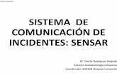 SISTEMA DE COMUNICACIÓN DE INCIDENTES: … · la comunicación y análisis de incidentes; la capacidad de aprender de los incidentes y de poner en práctica soluciones que ... Sea