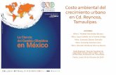 Costo ambiental del crecimiento urbano en Cd. … 4CNICC20… · Tamaulipas y General Bravo, Nuevo León (INEGI, 1983). Entorno geográfico . ... Amoreuxia wrightii En peligro de