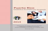 Puerto Rico - estadisticas.pr · Este realiza una encuesta anual a través del correo, la cual fue diseñada para recopilar y publicar ... ocupaciones que requieren un nivel más