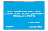 SUBSECRETARÍA DE COORDINACIÓN DE …cicsp.org/wp-content/uploads/2017/12/Hector-Maisuls-Desafios-en-la... · -Instituto de Investigaciones Epidemiológicas ANM (2004) Dra. Zulma