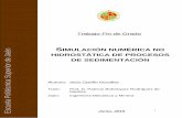 i SIMULACIÓN NUMÉRICA NO HIDROSTÁTICA DE PROCESOS e DE ...tauja.ujaen.es/bitstream/10953.1/4280/1/TFG_Castillo_González... · Las medidas aplicables en el problema de colmatación