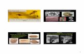 Formas de Preservación de los Fósiles 2011 - …cuencas.fcien.edu.uy/cursos/materiales/formas preservacion 2011 geo... · El proceso de fosilización es: el pasaje de los materiales