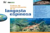 Esta es una publicación de PROARCA/APM, proyecto ...awsassets.panda.org/downloads/wwfca_langosta_espinosa_carpeta.pdf · más importantes de producción del Gran Caribe, ya que se