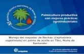 Manejo del raspador de flechas (Cephaloleia … · palmicultores. con el Manejo Integrado de Plagas (MIP) ... en palma de aceite en Tibú, Norte de Santander ... La aplicación del