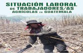 Síntesis del estudio sobre las condiciones laborales de ... · mendigando ser sobreexplotados como jornaleros en las fincas. Es, decir el problema tierra, en Guatemala, genera y