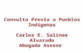 [PPT]Consulta Previa - Universidad Externado de … · Web viewConsulta Previa a Pueblos Indígenas Carlos E. Salinas Alvarado Abogado Asesor Convenio 169 OIT. Artículo 6º 1. Al