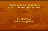 PSICOLOGÍA Héctor Velásquez Soto · (estímulos) y la conducta observable (respuestas), para alcanzar las metas científicas y poder emprender tareas prácticas.