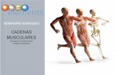 CADENAS MUSCULARES€¦ · 3 1. Adquirir unas nociones de base biomecánicas sobre cómo hacen funcionar al cuerpo las cadenas musculares y articulares. 2. Adquirir unas nociones