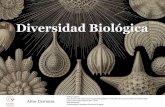 Diversidad Biológica - eva.udelar.edu.uy · Diversidad Biológica. Modulo 2 Clase 7 ... • La pared celular se compone de Sílice biogénico sintetizado intracelularmente por polimerización