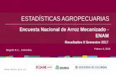 Presentación Encuesta Nacional de Arroz Mecanizado -ENAM ... · Área sembrada, cosechada y producción de arroz mecanizado II semestre (2016 –2017) Nota: Producción total de