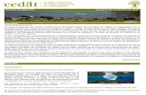 BOLETÍN INFORMATIVO Boletín nº 61, noviembre de … · hemisferio sur, siendo los animales más afectados las tortugas marinas, muchas especies de tiburones y muchos tipos de aves