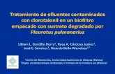 Tratamiento de efluentes contaminados con clorotalonil … · empacado con sustrato degradado por Pleurotus pulmonarius Lilliam 1L. ... fungicida protector en cultivos de papaya y