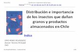 (Distribucion e importancia de los insectos que da an …ftpmirror.your.org/pub/misc/cd3wd/1005/_ag_grain_insects_chile_es... · Home "" """"> ar.cn .de .en .es.fr.id .it.ph .po .ru