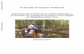 Evaluación de Impacto Ambiental Actividades de … · 4.4.3 Agrosilvopastoril ... Distribución de la precipitación en el Magdalena ... También CORMAGDALENA se presenta con esta