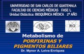 Metabolismo de PORFIRINAS Y PIGMENTOS BILIARES · Metabolismo de PORFIRINAS Y PIGMENTOS BILIARES Dr. Mynor A. Leiva Enríquez Metabolismo del HEM Formación de Porfirinas y Pigmentos