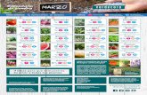 Calendario de siembra - MARZO - verdecora.es · Aplica compost y acolchado en el trasplante Tomate 40 Mantenla siempre húmeda y no la transplantes Remolacha 7-10 10 ... a tus semilleros.