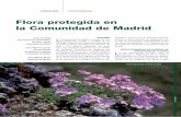 Flora protegida en la Comunidad de Madrid - … · 2012-04-03 · Protección y Regulación de la Fauna y Flora Silvestre en la Comunidad de Madrid, establece los principios generales