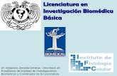 Licenciatura en Investigación Biomédica Básica132.248.218.48/blogpsico/Biomedica.pdf · Licenciatura en Investigación Biomédica Básica Dr. Alejandro Zentella Dehesa.- Secretario