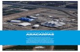 FESTIVALES DE MÚSICA ARACARPAS - Venta de carpasaracarpas.com/.../uploads/2017/01/Dosier-Festivales-Aracarpas-opt.pdf · Podemos ofrecerle un amplio catálogo de carpas para cubrir