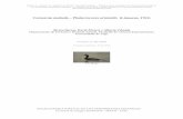 Cormorán moñudo – Phalacrocorax aristotelis …digital.csic.es/bitstream/10261/109513/5/phaari_v2.pdf · fusiforme, alas relativamente cortas, cola larga, que usa como timón