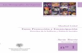 monos teoria 1 - papelesdesociedad.info · de los Niños y la Red Latinoamericana de Maestrías en Derechos y Políticas Sociales de Infancia y Adolescencia) una serie de publicaciones