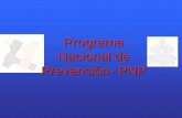 Programa Nacional de Prevención- PNPpdba.georgetown.edu/Security/citizensecurity/honduras/documentos/3.… · • Estructuración interna del Programa: diseño de las unidades operativas,