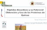 Péptidos Bioactivos y su Potencial Obtención y Uso de … · gastrointestinales (in vivo) Aislación y Purificación de Péptidos Bioactivos. Proteínas de la Quinua Albumina 2S