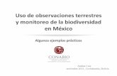 México - Uso de observaciones terrestres y monitoreo de … · y y monitoreo monitoreo de la de la biodiversidad biodiversidad ... la puesta en operación de estaciones de monitoreo