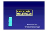 patología molecular - jmordoh.com.ar · comercialización medicina alimentos genes reguladores del ciclo celular vías metabólicas ... •23 pares de cromosomas 44 autosomas 2 sexuales