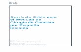 Currículo Orbis para el Wet-Lab de Cirugía de Catarata … · creación de paracentesis, entrada de la herida principal, inserción de visco elástico y uso de mantenedores de la