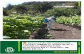 Diciembre 2017 - AgroCabildo - Agricultura y desarrollo ... · El oídio o ceniza (Uncinula necator = Erysiphe necator) es la enfermedad con carácter endémico que ... con un volumen