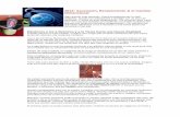 2012: Ascensión, Renacimiento & el Cambio Dimensionalconceptomaya.weebly.com/uploads/5/4/8/4/5484392/ascensinycambio... · transformación de una oruga en mariposa Monarca, es conocido