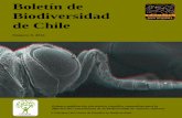 Boletín de Biodiversidad de Chile · Coquimbo, Chile) Diseño de logos Diagramación y diseño portada Jorge Pérez Schultheiss . ii Revista Indizada en: Zoological Records (Thomson