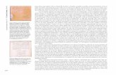 1749-1756 - eurocadastre.org · concepción camarero bullón El Catastro de Ensenada, 1749-1756 266 Abajo, mapas de Malagón, Membrilla y Tirateafuera. Arriba, Cabra de Santo