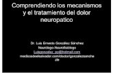 Comprendiendo los mecanismos - Médicos de El Salvador · Abordaje Tx Generalmente ... externa de la pierna izquierda y region dorso lateral del pie e hiperestesia global ... Los