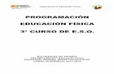 PROGRAMACIÓN EDUCACIÓN FÍSICA 3º CURSO DE E.S.O.iesfrancesdearanda.catedu.es/.../2017/11/Programación-3º-ESO-EF.pdf · alumno en temas relacionados con la actividad física