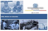 OIM, Misión en Colombia - ongawa.org · Cifras Migración Internacional 3,378,345 Colombianos en el exterior (Censo 2005) 10,4% Tasa de Emigración de capital humano altamente calificado