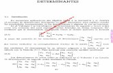 DETERMINANTES - librospdf1 · propiedades de los determinantes deducidas a partir de los axiomas 1, 2, Y 3'. Una de esas propiedades es el axioma 3. Se observará que el axioma 4