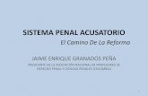 SISTEMA PENAL ACUSATORIO - Portal del … · 2010-05-06 · sistema penal acusatorio el camino de la reforma ... derecho penal y ciencias penales (colombia) 1 ... relaciÓn con organismos