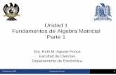 Unidad 1 Fundamentos de Algebra Matricial Parte 1galia.fc.uaslp.mx/~rmariela/algebra/L1.pdfPropedeutico 2008 Facultad de Ciencias 2 Matrices • Una matriz A de m × n es un arreglo